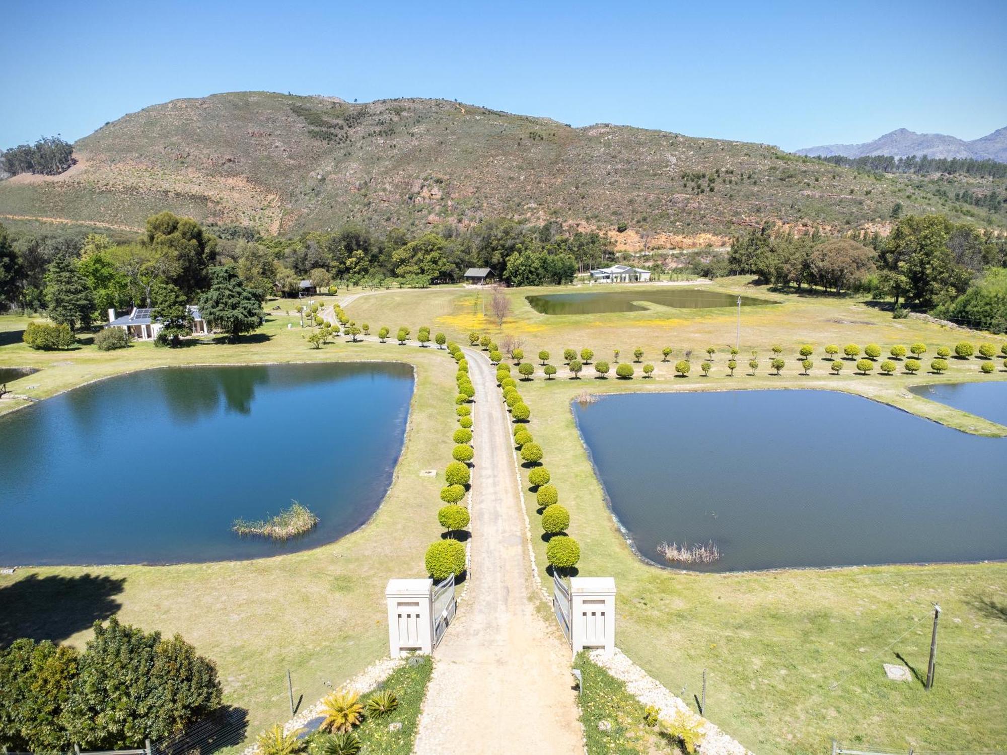 فيلا La Ferme Guest Farm - Hot Tubs فرانستشوك المظهر الخارجي الصورة